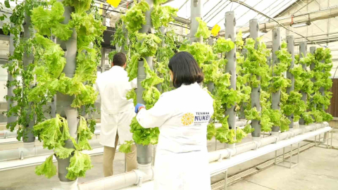 Gıda Güvenliğine ‘TENMAK’ dokunuşu