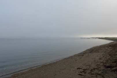 Çanakkale Boğazı sis nedeniyle transit gemi geçişlerine kapatıldı