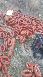 Ankara’da yüzlerce kilo et ürünü boş araziye atıldı