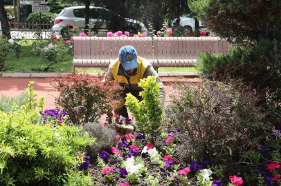 Keçiören’de seradan parklara uzanan yeşil yolculuk