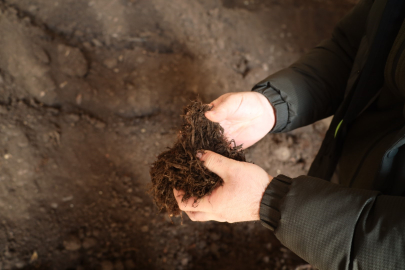 Torf üretimiyle yılda 50 milyon lira tasarruf sağlanıyor