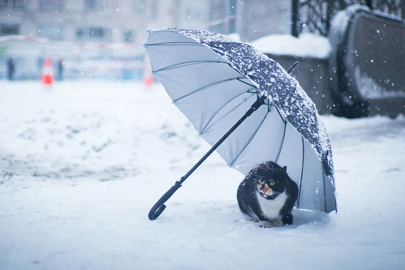 Kocaeli'nin yüksek kesimleri için kuvvetli kar yağışı uyarısı