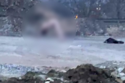 Köprü altında akıllara durgunluk veren görüntüler