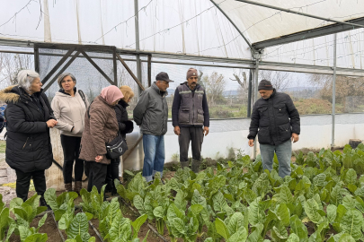 "Saygınlar Kulübü" üyeleri serada hasat yaptı
