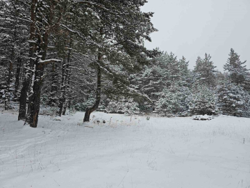 Ankara’da yaylalar beyaza büründü
