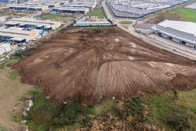 Sokak hayvanlarının yaşam alanı genişletiliyor