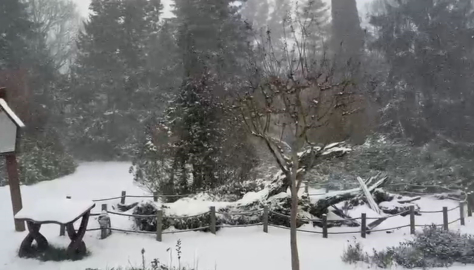 Sarıyer’in yüksek kesimleri karla kaplandı