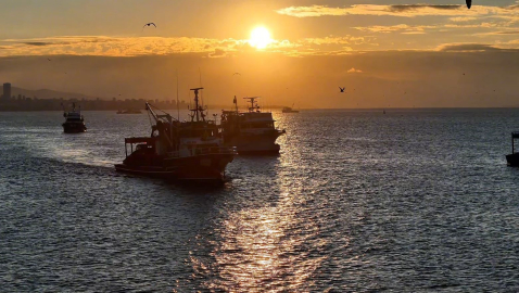 Boğaz’da fırtına sonrası balıkçılar yeniden denize açıldı