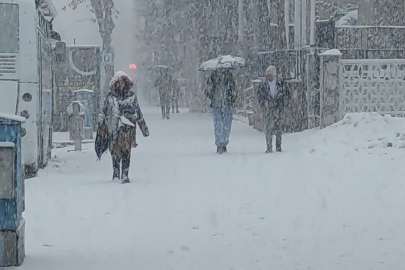 Van'da lapa lapa kar yağdı: 405 yerleşim yerinin yolu kapalı