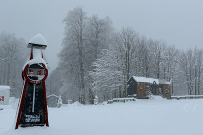 Kocaeli'nin yüksek kesimlerine lapa lapa kar yağıyor
