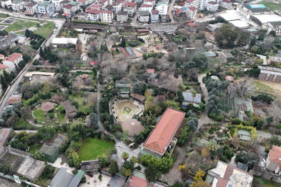 Darıca Hayvanat Bahçesi kapandı, hayvanlar farklı illere nakledildi