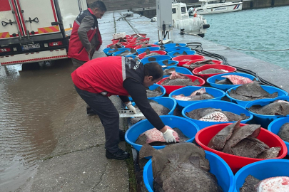 Kandıra’da kaçak avcılara darbe: 500 kalkan balığı ele geçirildi