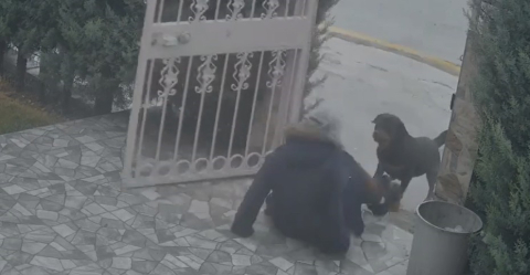 Ankara’da sahipsiz köpeklerin saldırısına uğrayan kadın komşusunun müdahalesiyle kurtuldu