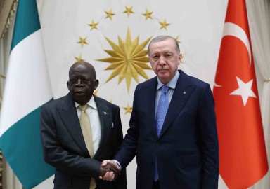 Cumhurbaşkanı Erdoğan, Nijerya Cumhurbaşkanı Tinubu ve beraberindeki heyetle bir araya geldi