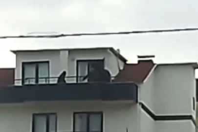 Kocaeli'de FETÖ operasyonu: Saklandığı çatıda yakalandı