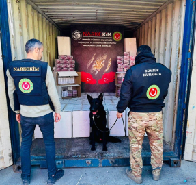 Gümrükler Muhafaza Kaçakçılık ve İstihbarat birimlerince gerçekleştirilen operasyonlarda 4,6 milyar lira değerinde ilaç ve uyuşturucu madde ele geçirildi