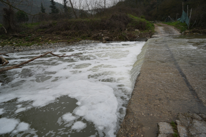 Köpüren dereden ağır kokular yükseliyor