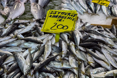 Kocaeli'de balık tezgahlarındaki son durum
