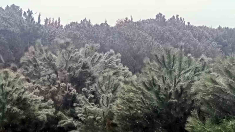 İstanbul’da yüksek kesimlerde kar yağışı başladı