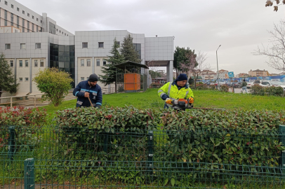 Hastane bahçelerinde budama ve bakım çalışması yapılıyor