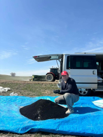 Beypazarı’nda çörek otu ekimi başladı