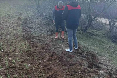 Elazığ’da tarla faresi  sürvey çalışması
