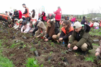 Bafra’da minik eller 3 bin fidanı toprakla buluşturdu
