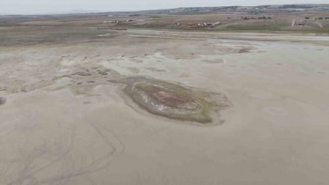 Allı turnaların yuvası yok oluyor