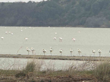 Eceabat Kaymakamı Kerem Yenigün’den Suvla Bölgesinde Doğa İncelemesi
