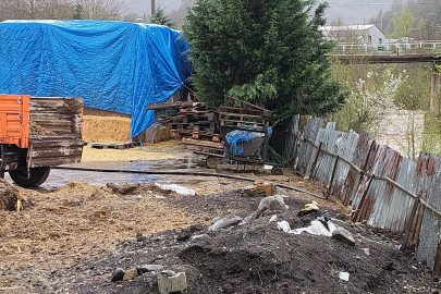 Dereye hayvansal atık bırakan çiftlikler yakalandı