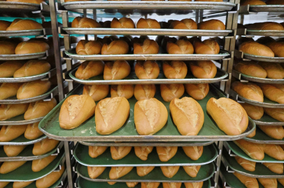 Kocaeli Halk Ekmek Fiyatı Değişti! Yeni Gramaj ve Fiyat Detayları Haberimizde