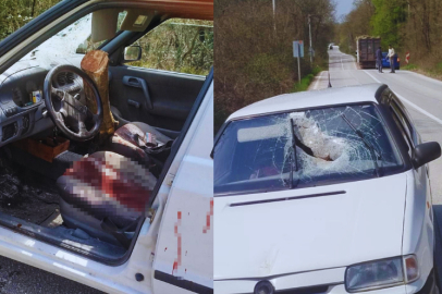 Kocaeli'de kamyondan düşen tomruk seyir halindeki otomobile saplandı