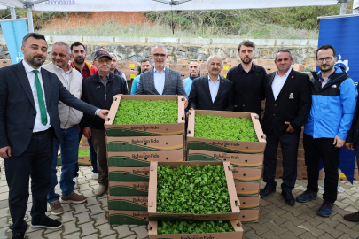 Kocaeli’de TAKE Projesi: İşlenmeyen Tarım Arazileri Üretime Kazandırılıyor