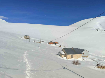 Bayburt’ta ayı saldırılarının yaşandığı yaylada ulaşım sorunu sürüyor
