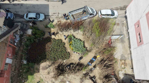 Muş’ta meyve fidanları satışa çıkarıldı