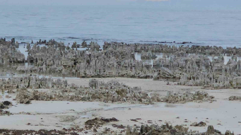 Van Gölü’nde kuraklık alarmı: Adilcevaz sahilinde mikrobiyalitler gün yüzüne çıktı