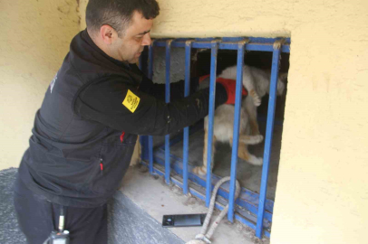 Açlıktan bitkin düşen kedi itfaiye ekiplerince kurtarıldı