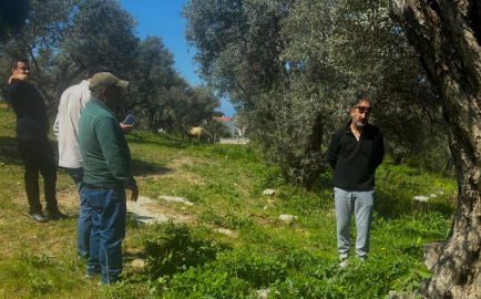 Endemik Tülüşah için inceleme yaptılar