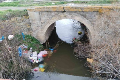 Tavşanlı’da bilinçsizce hareket çevre kirliliğine sebep oluyor