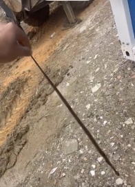 Diyarbakır’da yılanlar kış uykusundan uyandı