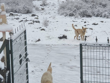 Ankara’ya nisan ayında kar yağdı