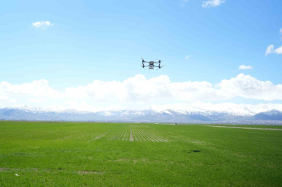 Muş’ta 42 bin dönümlük tarım arazisi dron ile gübrelendi