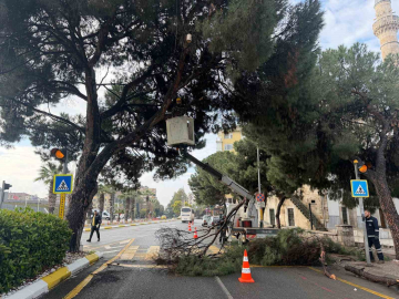 Aydın’ın en işlek noktasına estetik dokunuş