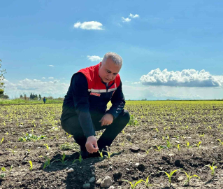 Kırıkhan’da mısır ekili alanlar incelendi