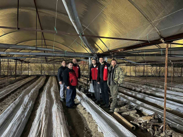 Kiraz bahçelerinde zirai dona karşı nöbet tutuldu