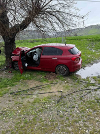 Siirt’te ağaca çarpan otomobilin sürücüsü yaralandı
