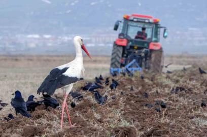 Meteorolojiden zirai don uyarısı