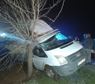 Kamyonet şarampolde ağaca çarptı: 1 yaralı