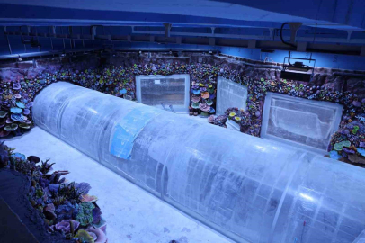 Kocaeli’de su altında dünya turu başlıyor: 30 farklı akvaryumla eşsiz gezi