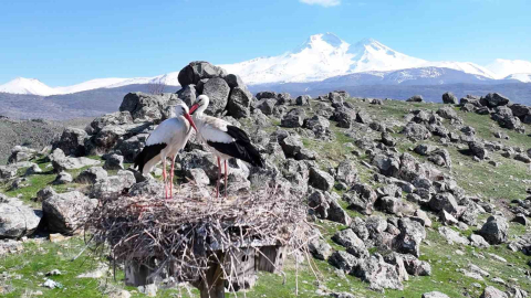 Doğanın uyanışı, Hürmetçi Sazlığı’nda sahneleniyor